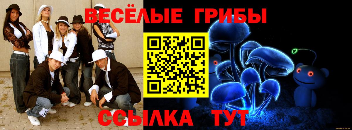 Галлюциногенные грибы прущие грибы  Вход с VPN  Курчалой  Псилоцибиновые грибы мухоморы 