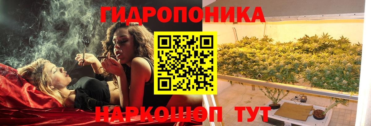 Бошки марихуана конопля  Вход с VPN  Курчалой  МАРИХУАНА гибрид  Бошки марихуана тримм 